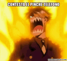 Contesta El Pinche Teléfono One Piece GIF - One Piece Answer Me Pick Up The Phone GIFs