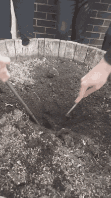 Dirt Digging GIF - Dirt Digging School GIFs