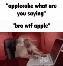 Applecake Mehcc GIF