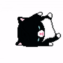 pixel kitty