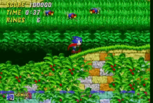 Sonic Stage GIF - Sonic Stage Complete GIFs