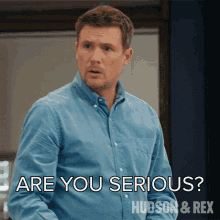 Are You Serious Charlie Hudson GIF - Are You Serious Charlie Hudson Hudson And Rex GIFs