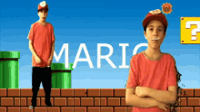 Erb Mario GIF - Erb Mario 01lego Fan GIFs