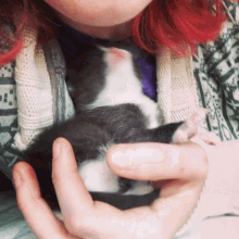 Kitten Xenon GIF - Kitten Xenon GIFs