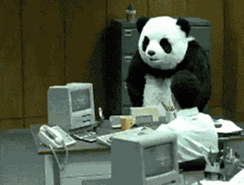 Violent panda wrecks corporate office.