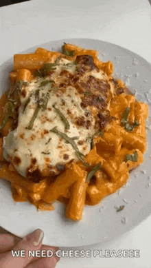 a person is holding a plate of pasta and chicken with cheese on it .