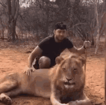 a man is laying on a lion 's back in the dirt .
