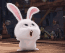 คิมโรโระ Bunny GIF - คิมโรโระ Bunny Cute GIFs