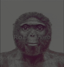 a drawing of a monkey with the name rio de janeiro written on the bottom