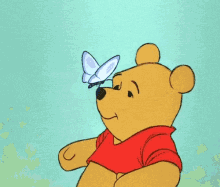 pooh butterfly winnie the pooh nose