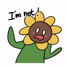 plant sunflower