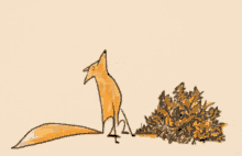 Fox GIF