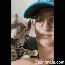 Cat Annoying GIF - Cat Annoying Glasses GIFs