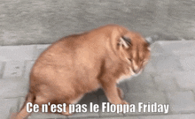 Floppa Friday GIF - Floppa Friday GIFs