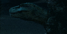 a close up of a dinosaur with its mouth open in the dark