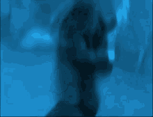 Rational Gaze Meshuggah GIF - Rational Gaze Meshuggah GIFs