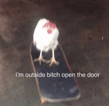 a picture of a chicken on a skateboard that says i 'm outside bitch open the door