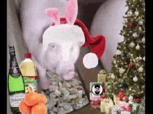 свиня джакузі новий рік GIF - свиня джакузі новий рік святкування GIFs