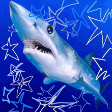 a blue shark is surrounded by white stars and drawings