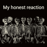 My Honest Reaction Skeleton GIF - My Honest Reaction Skeleton Bruh GIFs