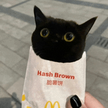 a black cat is wrapped in a hash brown bag