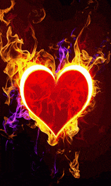 a red heart is surrounded by flames of different colors