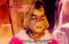 Grinch GIF - Grinch How The Grinch Stole Christmas Im All Toasty I Inside GIFs