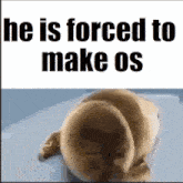 a picture of a stuffed animal with the words he is forced to make os