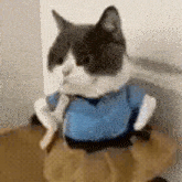 a black and white cat wearing a blue shirt and tie is sitting on a box .