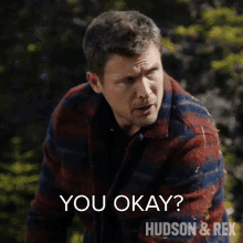 You Okay Charlie Hudson GIF - You Okay Charlie Hudson Hudson And Rex GIFs