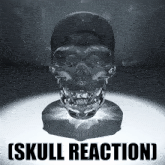 Skull Reaction GIF - Skull Reaction Skull GIFs