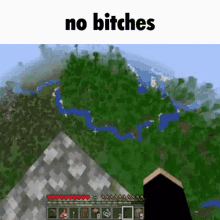a screenshot of a video game with the words no bitches on the bottom