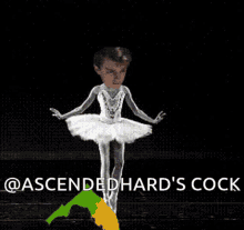 Ascendedhard Ballet GIF - Ascendedhard Ballet Cock GIFs