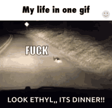 a cat is walking down a road at night and says `` fuck '' .