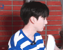a boy in a blue and white striped shirt is standing in front of a red brick wall .
