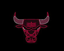 Chicago Bulls GIF