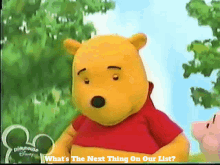 The Book Of Pooh Pooh GIF - The Book Of Pooh Pooh Whats The Next Thing On Our List GIFs