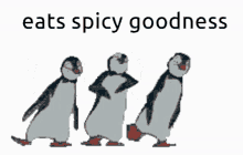 Eats Spicy Goodness Penguin GIF - Eats Spicy Goodness Penguin Dance GIFs