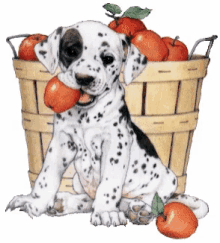 Dog Animation GIF - Dog Animation Dalmatian GIFs