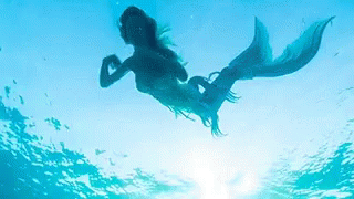 swimming mermaid gif