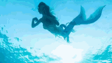 mermaid swim in the water