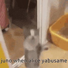 Alice Yabusame Your Turn To Die GIF - Alice Yabusame Your Turn To Die Cat GIFs