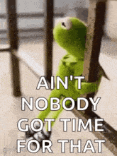 kermit the frog is leaning against a railing and saying `` ain 't nobody got time for that ''