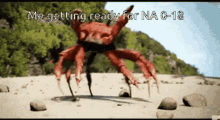 Crab Rave GIF - Crab Rave GIFs