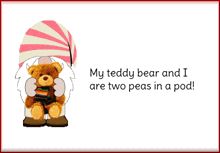 teddy bear gnome my teddy bear