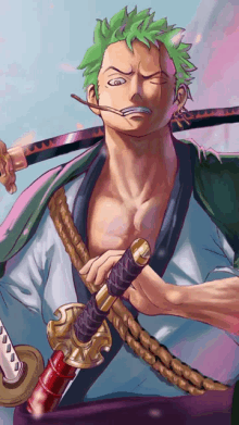 Zoro GIFs