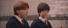 Ron Weasley Harry Potter GIF - Ron Weasley Harry Potter What Now GIFs