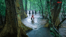 a group of people riding horses through a river with the word divo on the bottom left