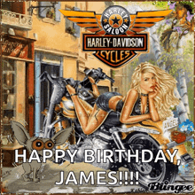 Harley Davidson Dog GIF