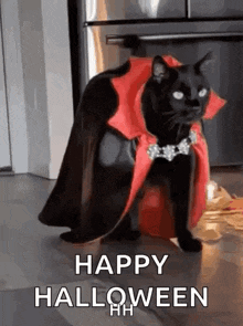 a black cat is wearing a vampire costume and a cape .